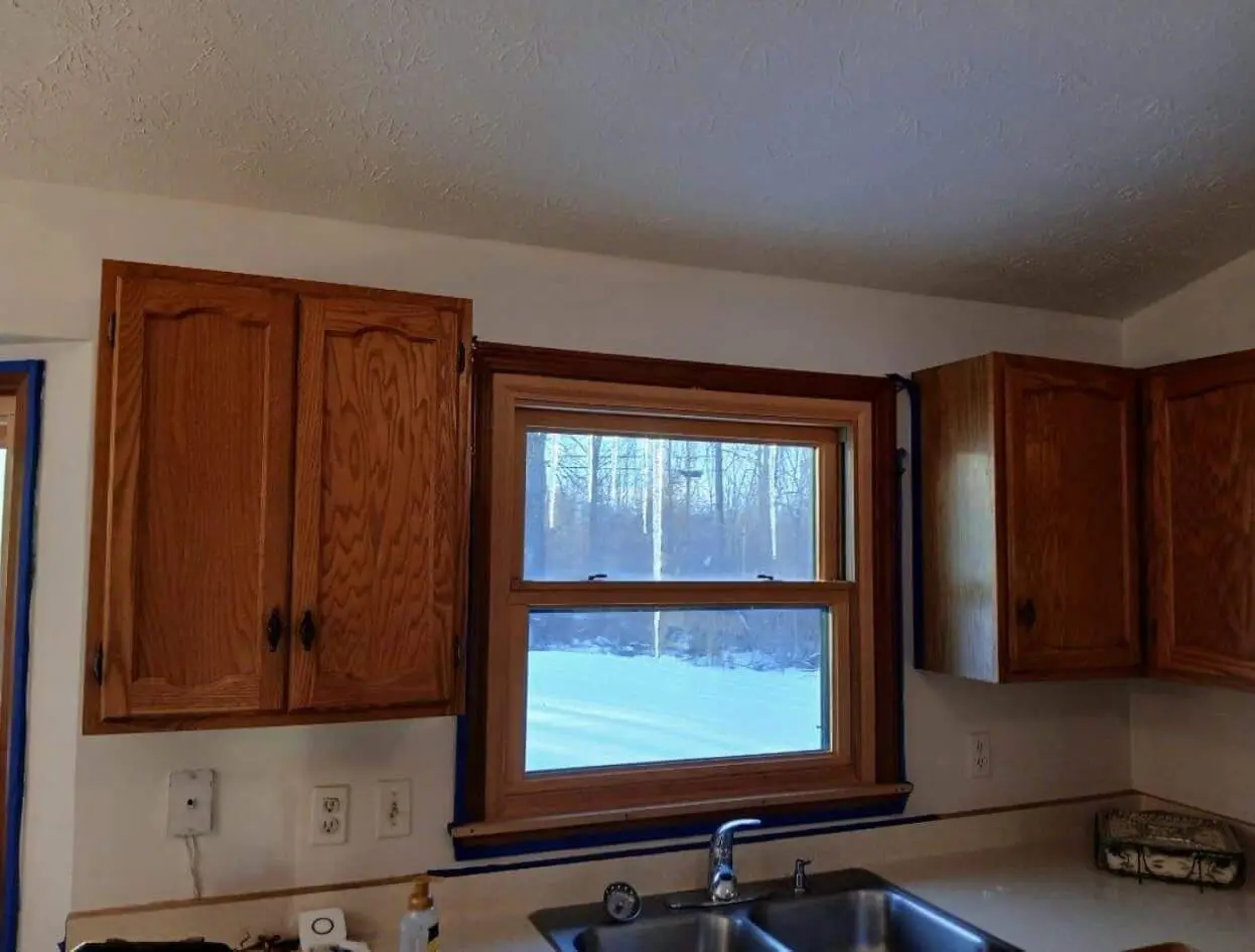 Interior painting a beautifull view of outsied iof window