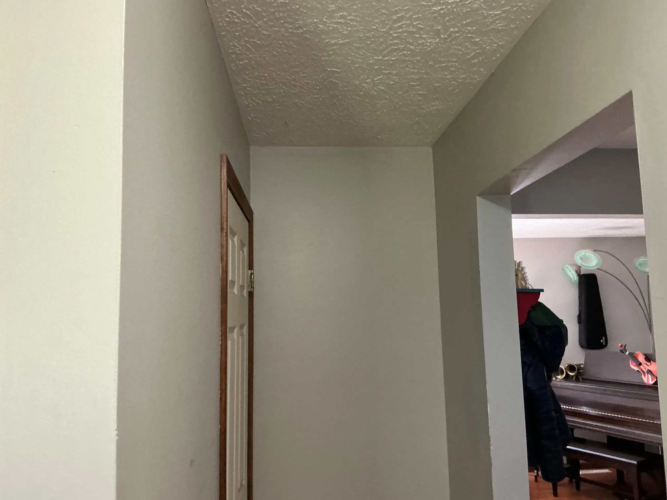 hallway walls painted light gray in Buffalo home