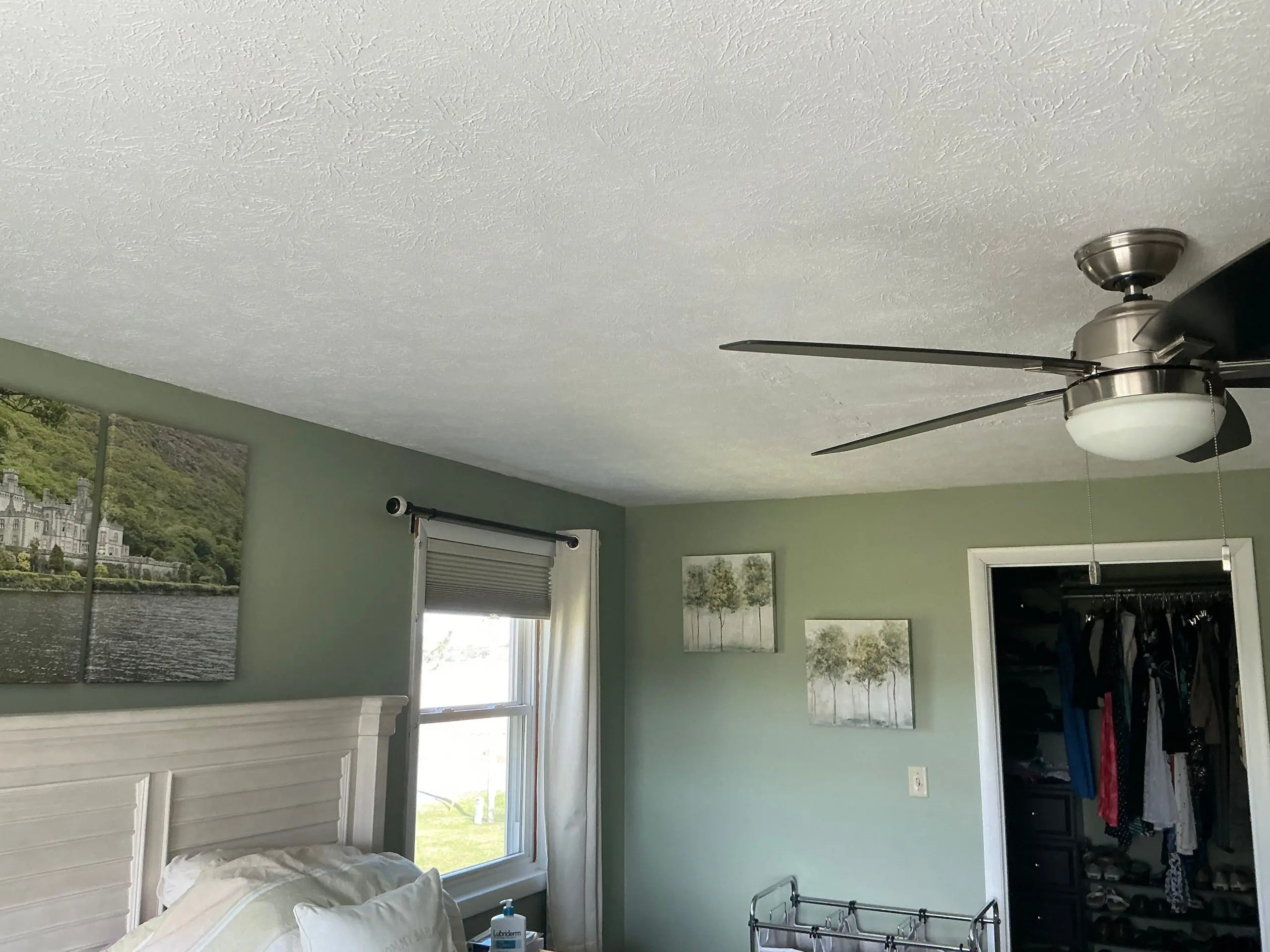 freshly painted room with neutral green walls in Buffalo home