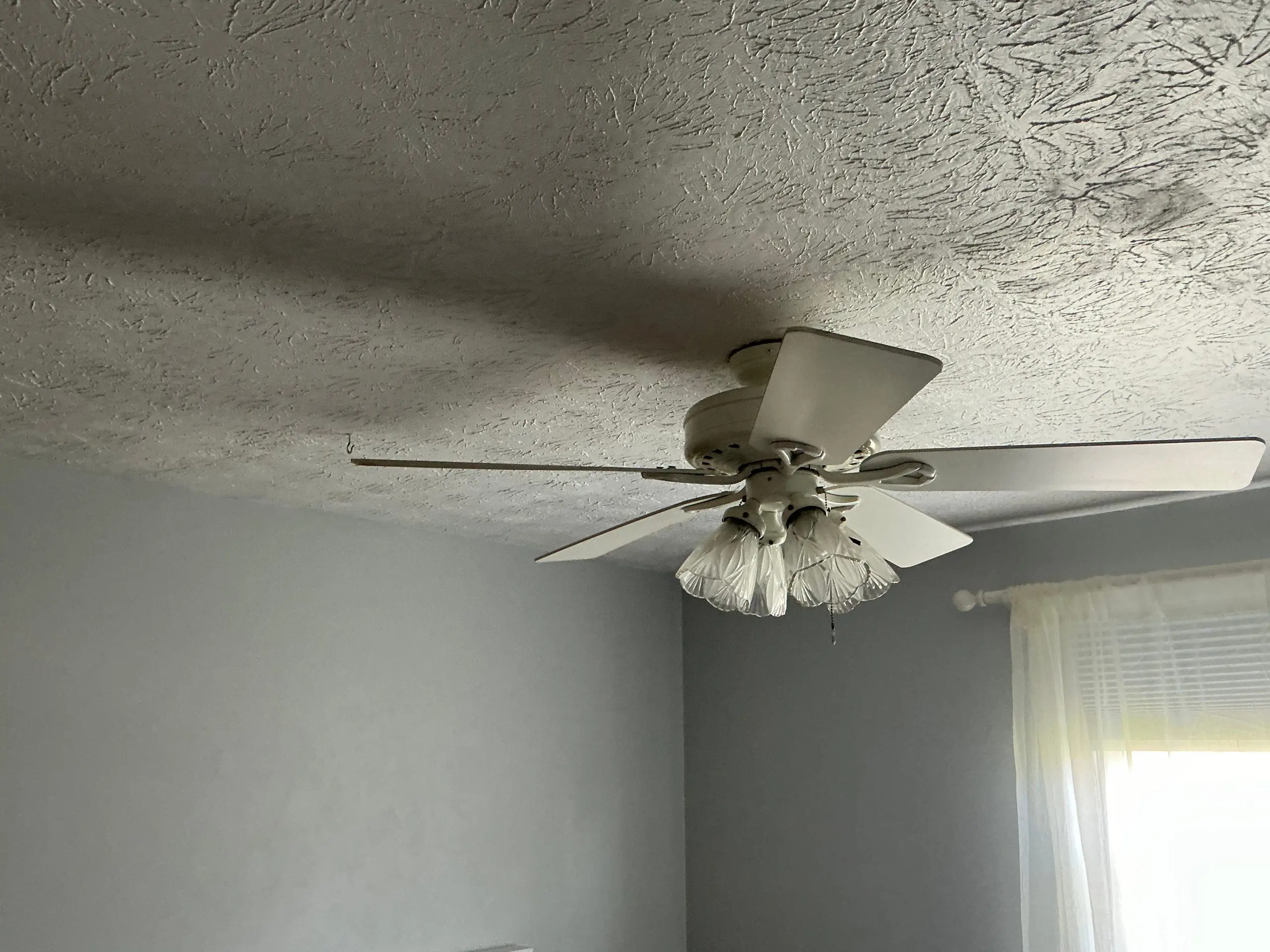 smooth wall finish during interior painting project in Buffalo