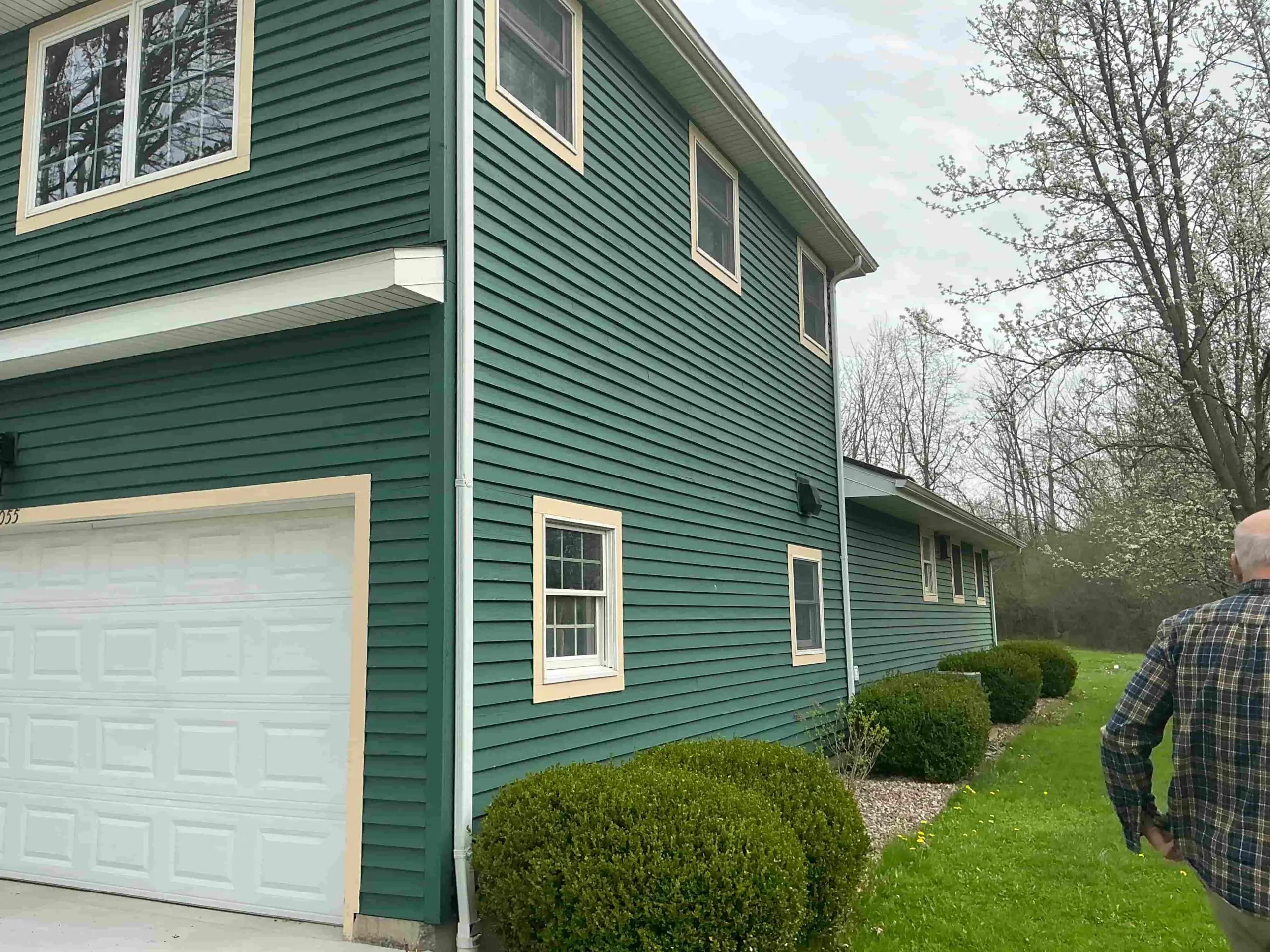 residential Buffalo house painted modern green