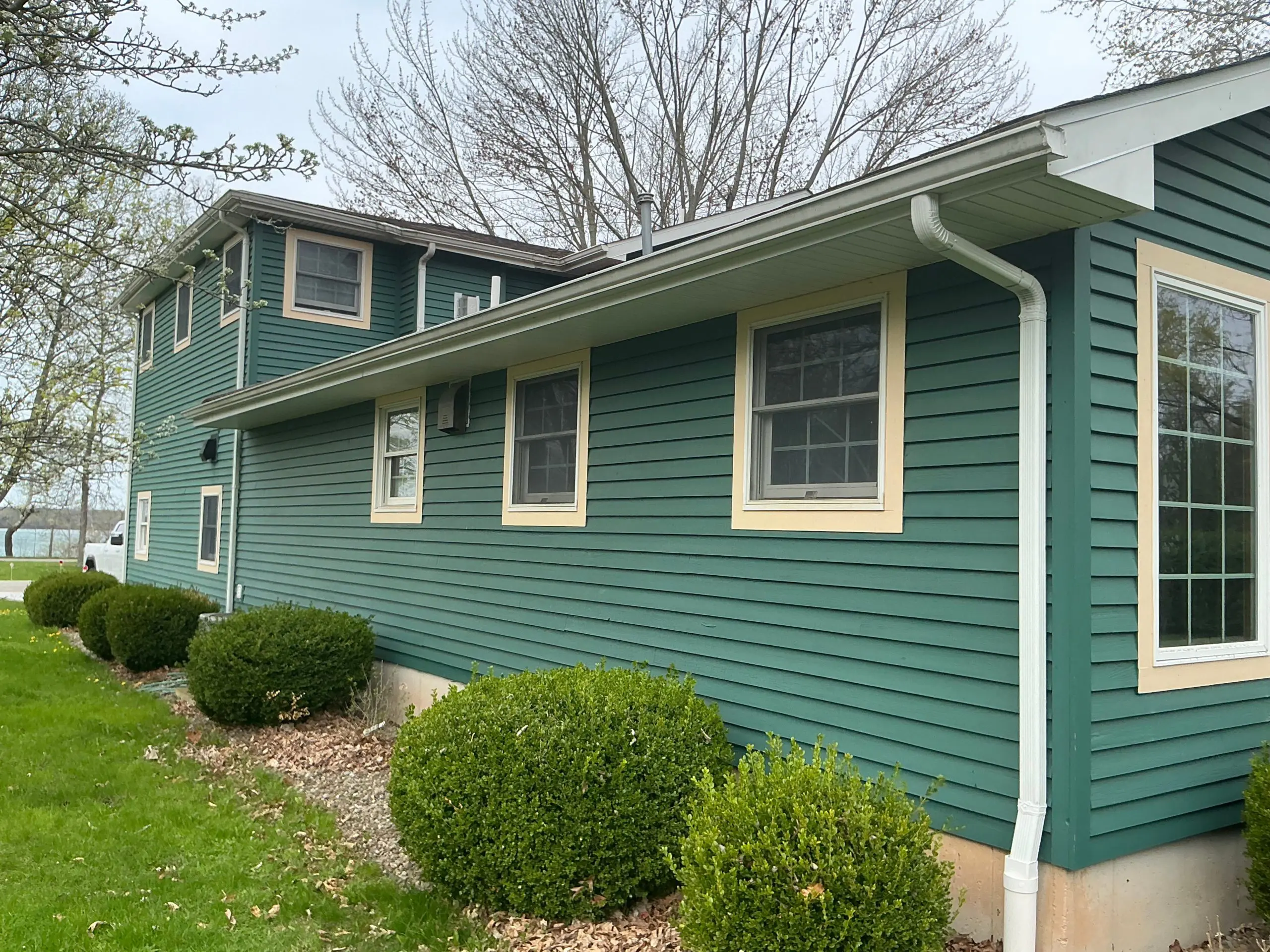 residential Buffalo house painted modern green