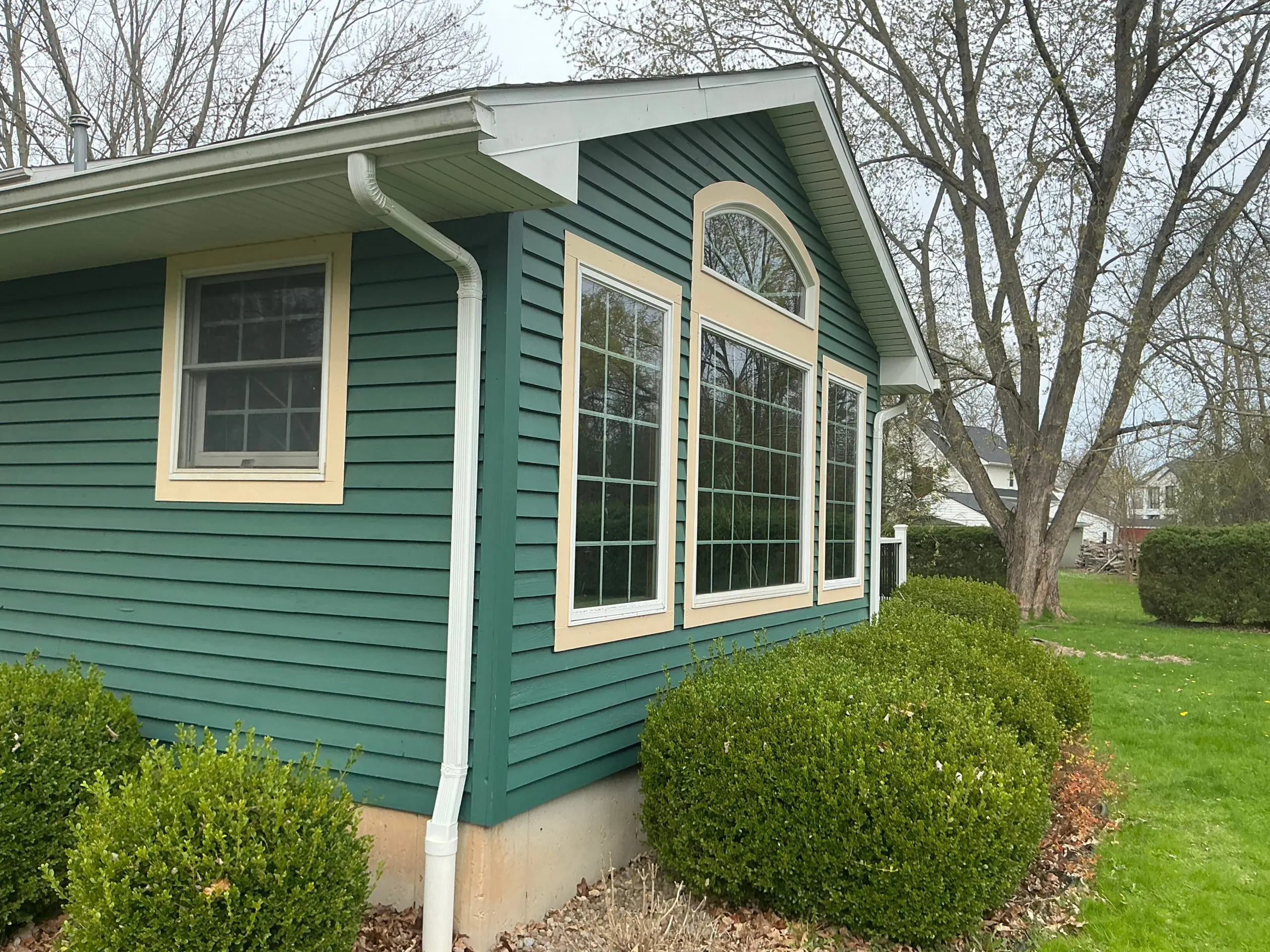 residential Buffalo house painted modern green