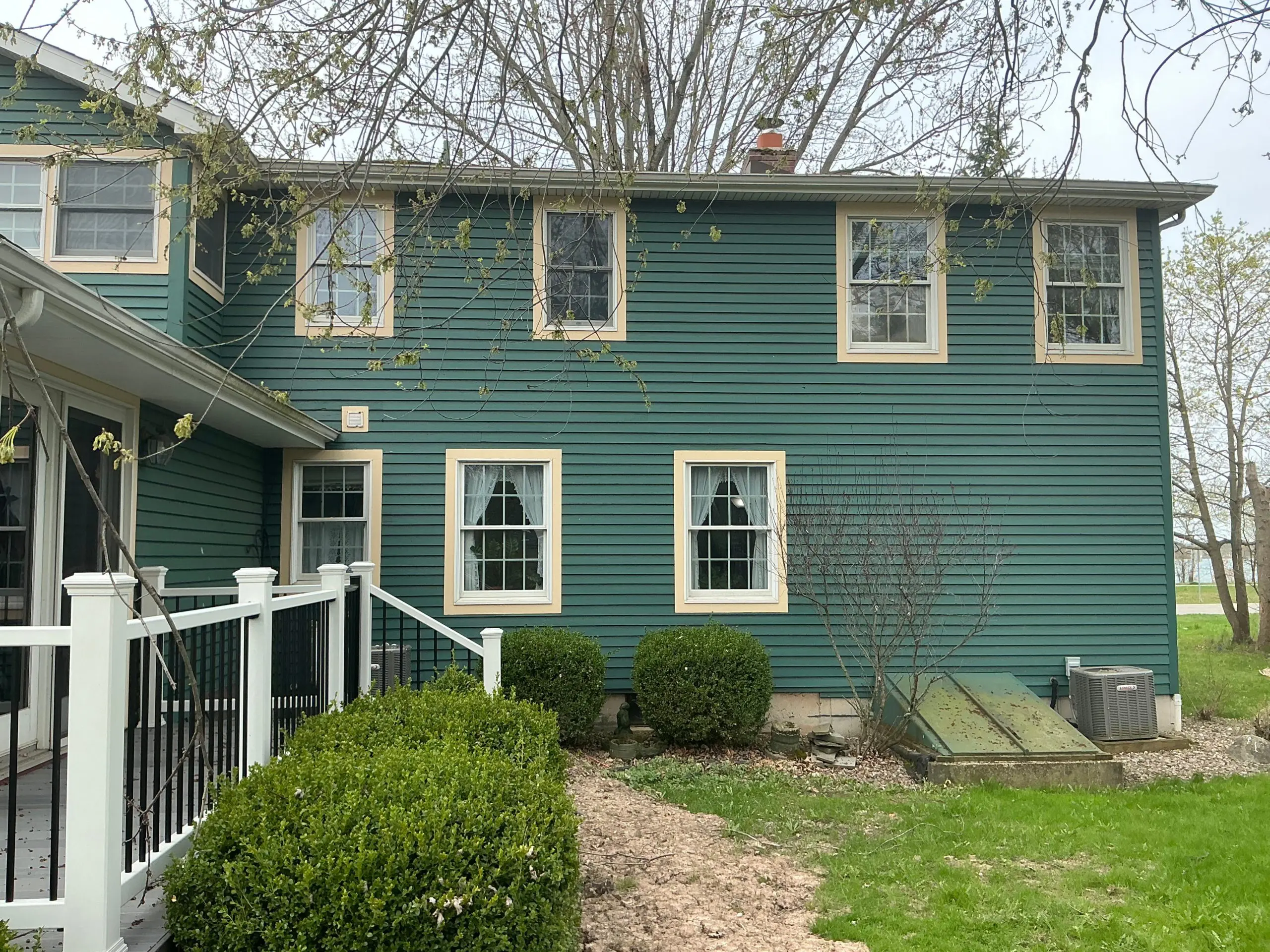 residential Buffalo house painted modern green