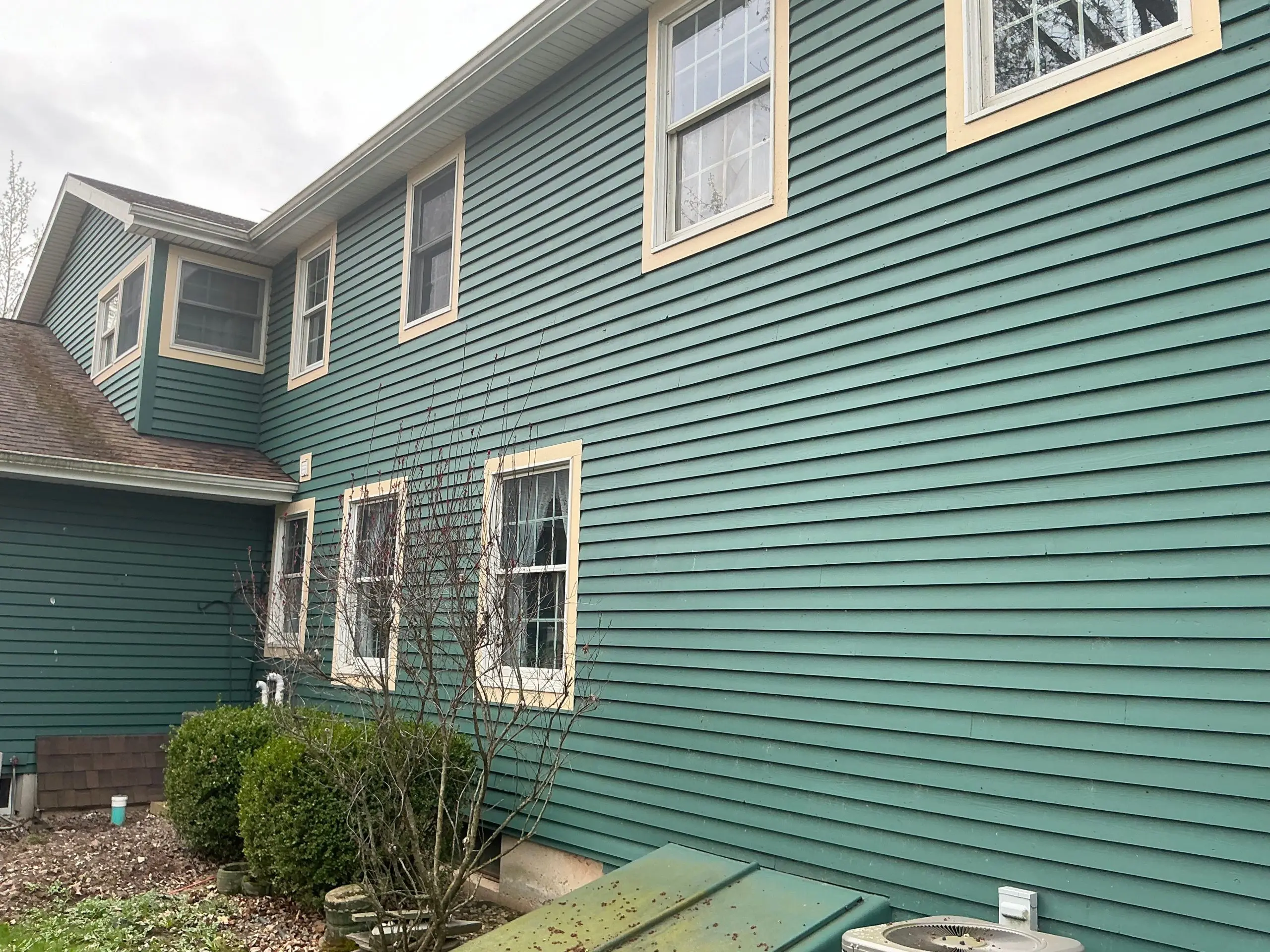 residential Buffalo house painted modern green