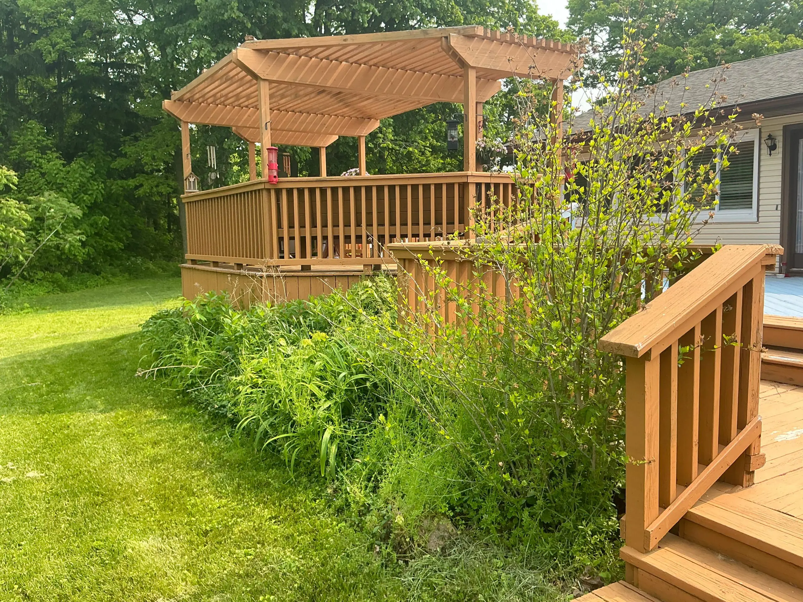 Buffalo backyard deck pagoda rich cedar tone